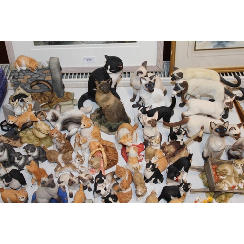 109 - Cat models and groups.