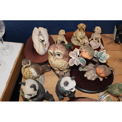 115 - Animal groups to include labradors, birds, pandas, owls, cats, etc.