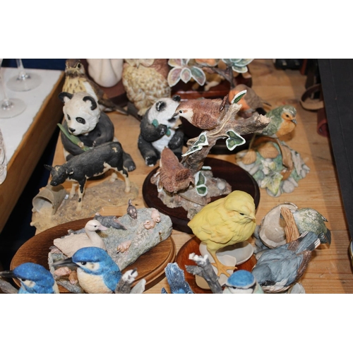 115 - Animal groups to include labradors, birds, pandas, owls, cats, etc.