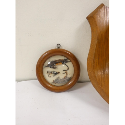 Taxidermy - An early 20th juvenile male Roe buck skull mounted to a ...
