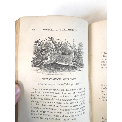 4 - BURNS ROBERT.&nbsp;&nbsp;The Poetical Works. 2 vols. Good eng. vignettes by&nbsp;Bewick. 16mo. Nice ... 