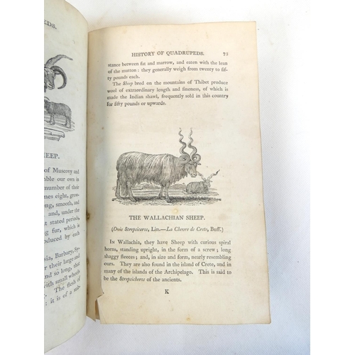 4 - BURNS ROBERT.&nbsp;&nbsp;The Poetical Works. 2 vols. Good eng. vignettes by&nbsp;Bewick. 16mo. Nice ... 