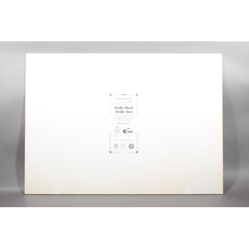 18 - RAF Strike Hard Strike Sure Bradford Exchange porcelain plaque #551/2500....