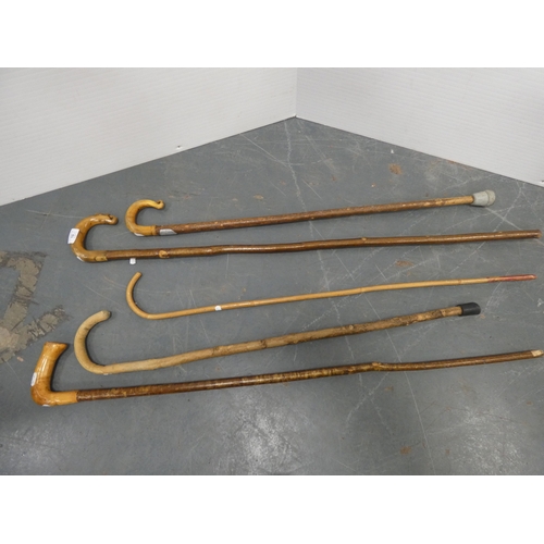 10 - Five walking sticks to include examples with horn handles.  (5)...