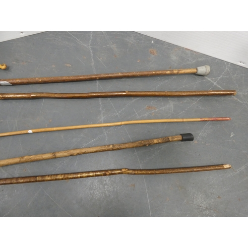 10 - Five walking sticks to include examples with horn handles.  (5)...