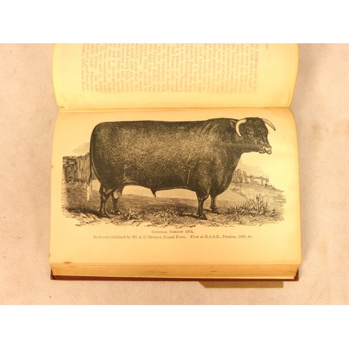 50 - SINCLAIR JAMES.  History of the Devon Breed of Cattle. Eng. plates. Orig. brown cloth, some mkg. &am... 