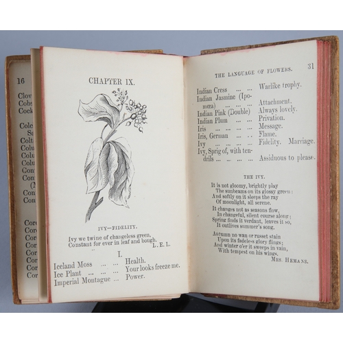 33 - Five Mauchline Ware binded books and albums (5).