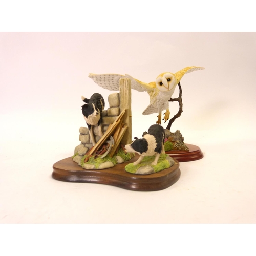 Lot 27        