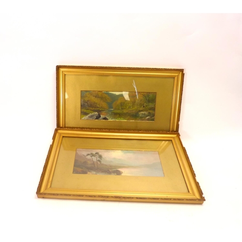 Lot 59        