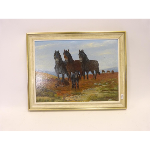 Lot 60        