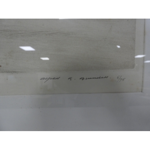 116 - Alfred R Blundell