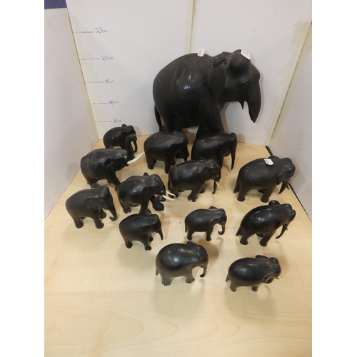Lot 20        