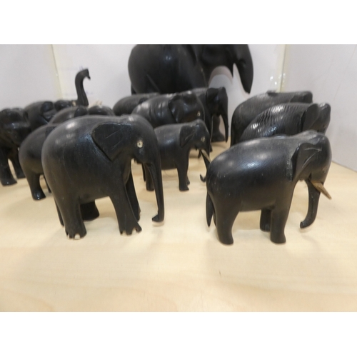 20 - Group of ebonised elephant figures, some with original bone tusks.