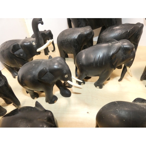 20 - Group of ebonised elephant figures, some with original bone tusks.