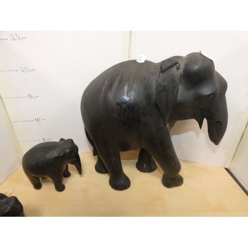 20 - Group of ebonised elephant figures, some with original bone tusks.