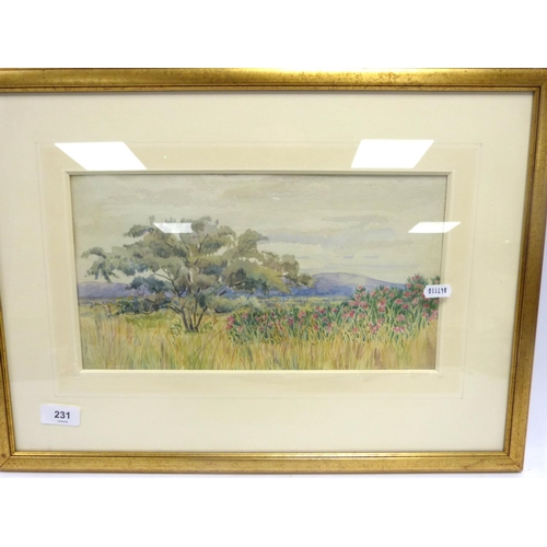 Lot 50        