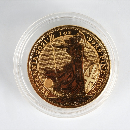 Lot 11        