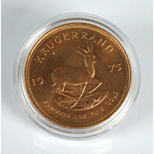 Lot 25        