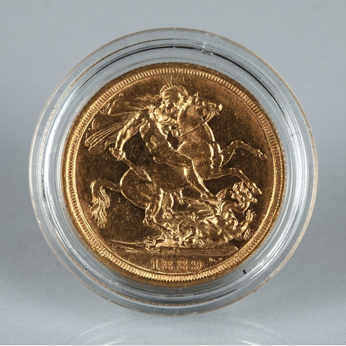 Lot 49        
