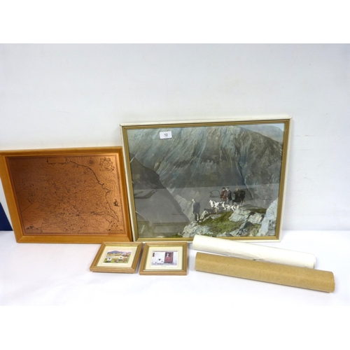 Lot 12        