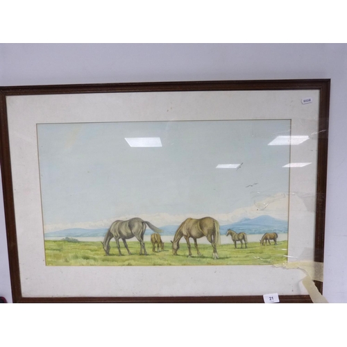 Lot 21        