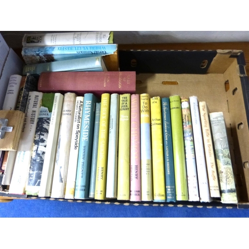 Lot 54        