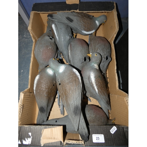 Lot 23        