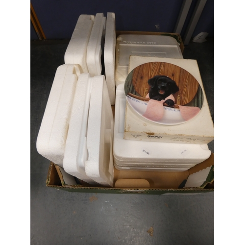 Lot 28        