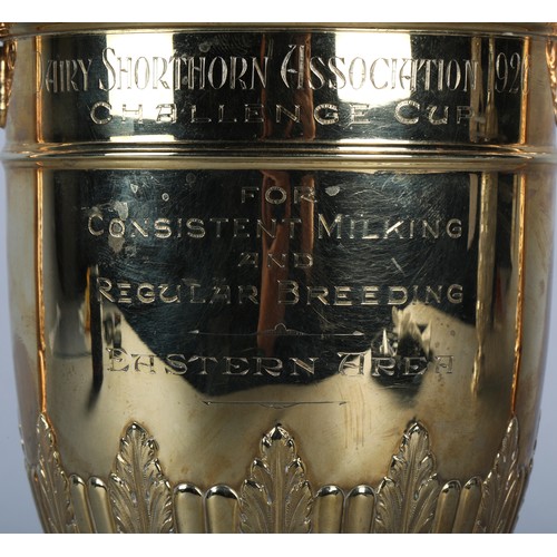 100 - 9ct gold two handled cup and cover of late 18th century style, The Dairy Shorthorn Association 1926 ... 
