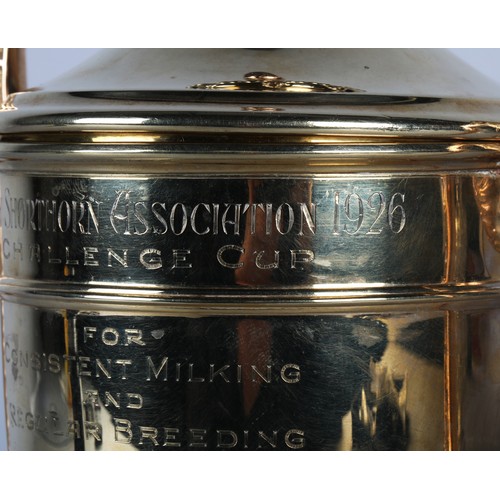 100 - 9ct gold two handled cup and cover of late 18th century style, The Dairy Shorthorn Association 1926 ... 