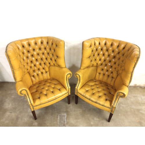 324 - Pair of chesterfield wingback chairs upholstered in mustard yellow leather. 113cm high, 80cm wide.