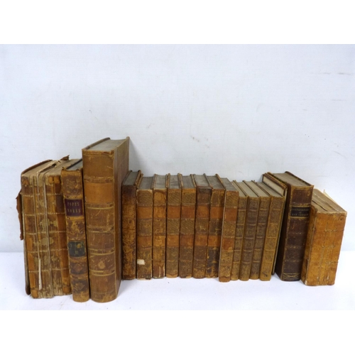 Lot 29        