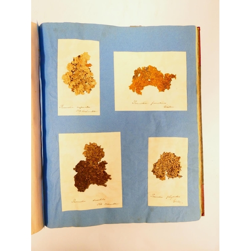 Lot 35        
