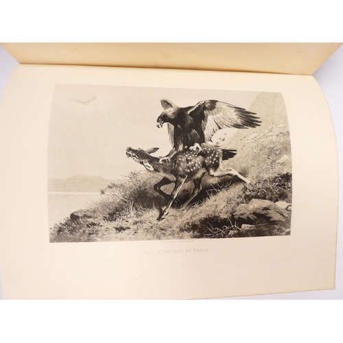41 - GRIMBLE A.&nbsp;&nbsp;Deer-Stalking & The Deer Forests Of Scotland. Illus. by Archibald Thorburn... 