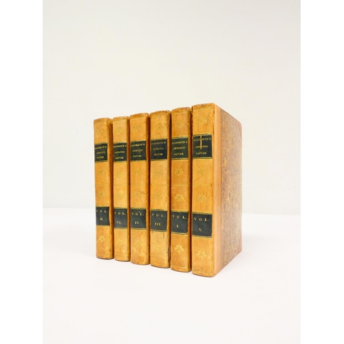 Lot 61        