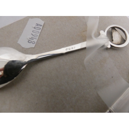 314 - Collection of silver plated souvenir spoons, and two silver souvenir spoons, with various surmounts.