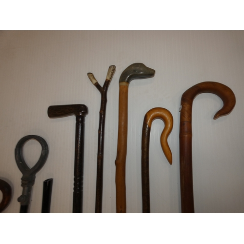89 - Group of walking sticks to include an example with a dog head, and shooting stick.
