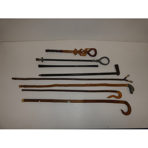 89 - Group of walking sticks to include an example with a dog head, and shooting stick.