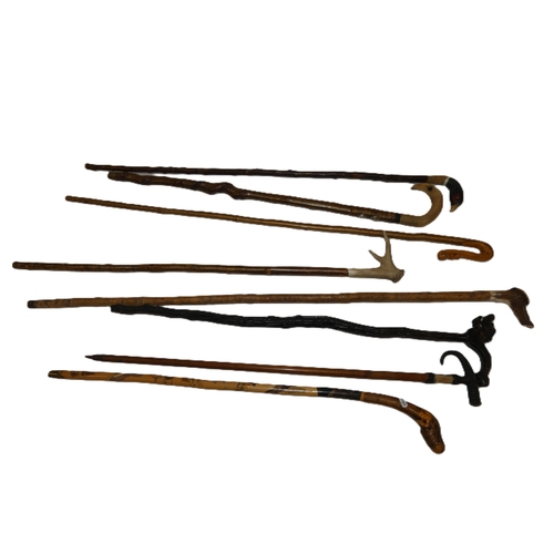 90 - Group of walking sticks to include an example with an antler grip and another with a pheasant head.