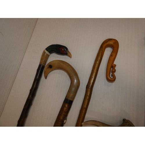 90 - Group of walking sticks to include an example with an antler grip and another with a pheasant head.