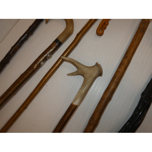 90 - Group of walking sticks to include an example with an antler grip and another with a pheasant head.