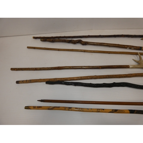 90 - Group of walking sticks to include an example with an antler grip and another with a pheasant head.