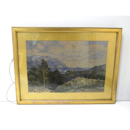 20 - Sir Herbert Eustace Maxwell 7th BtScottish 1845-1937.Cattle on a hilltop.Signed and dated 1875, wate... 