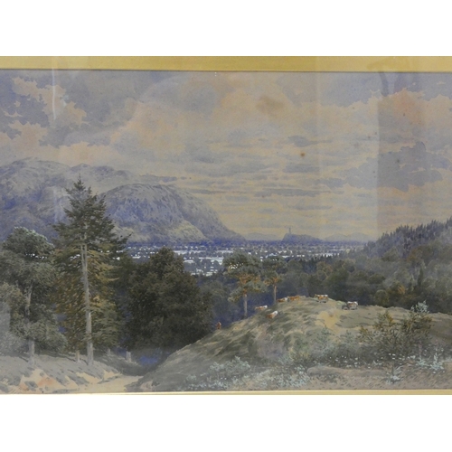 Lot 20        
