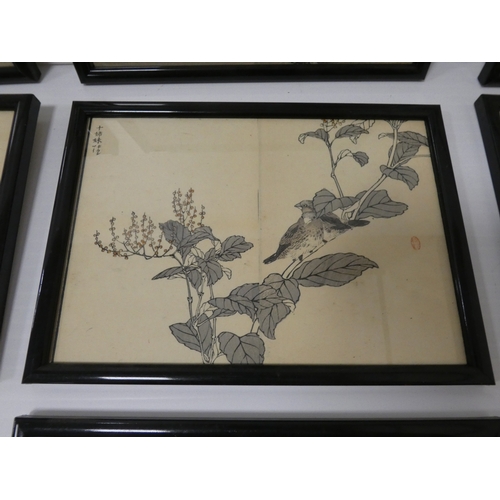 31 - Collection of Japanese signed wood block prints on paper, Depicting various birds to include Ho-Ho b... 
