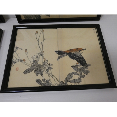 31 - Collection of Japanese signed wood block prints on paper, Depicting various birds to include Ho-Ho b... 