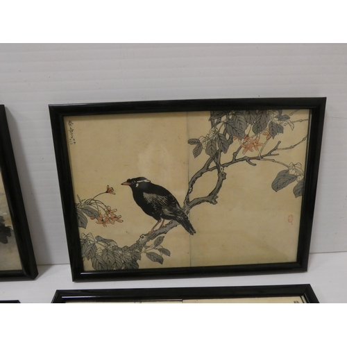 31 - Collection of Japanese signed wood block prints on paper, Depicting various birds to include Ho-Ho b... 
