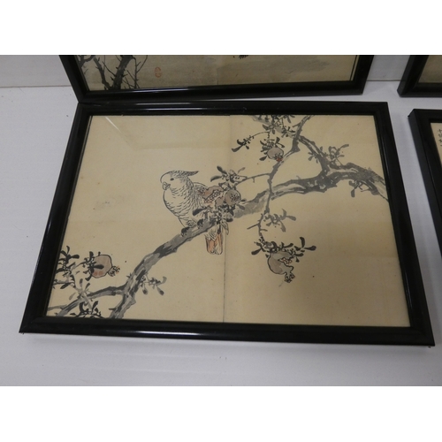 31 - Collection of Japanese signed wood block prints on paper, Depicting various birds to include Ho-Ho b... 
