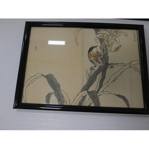31 - Collection of Japanese signed wood block prints on paper, Depicting various birds to include Ho-Ho b... 