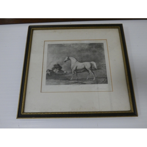32 - After HerringFiho Da Puta, 1815 winner of the St Ledger.print in rosewood frame and a smaller print ... 